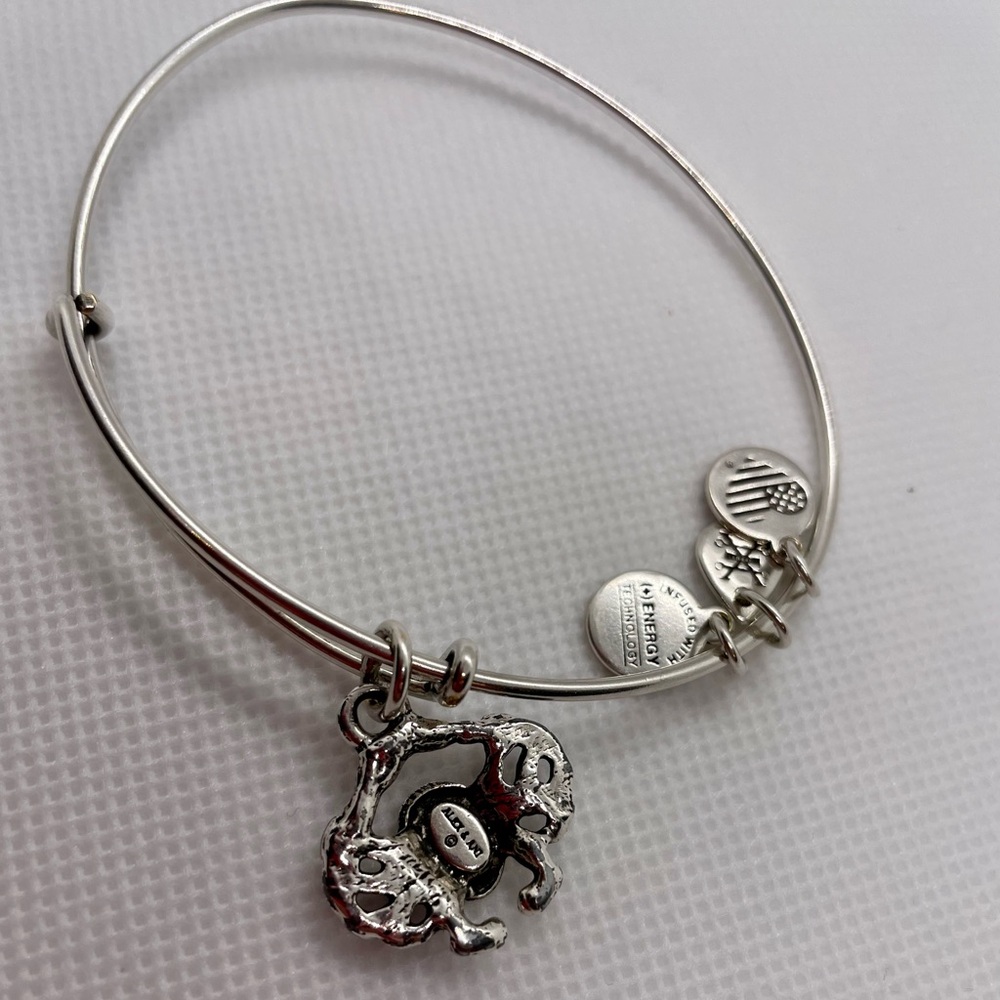 Alex and Ani 
Silver Crab Bracelet